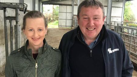 County Roscommon farmers to host Teagasc National Future Beef walk