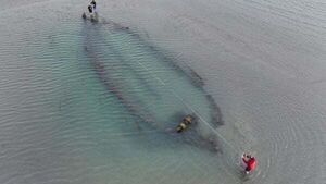 Analysis continues into historical shipwrecks found off Dublin coast