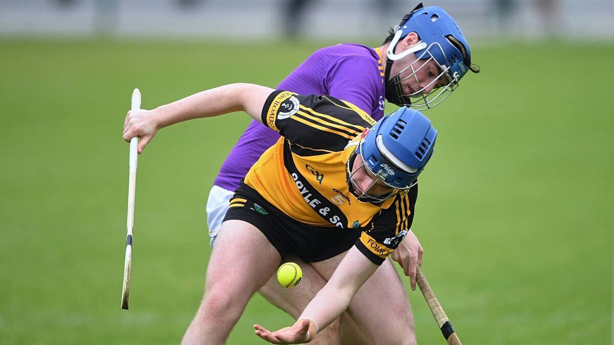 Wade gleans positives from semi-final slog