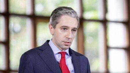 Government ‘won’t be found wanting’ in helping to provide Troubles legacy answers