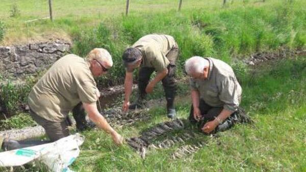 Thirteen recorded fish kills in County Roscommon