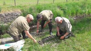 Thirteen recorded fish kills in County Roscommon