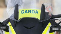 Cocaine worth €6m seized as Garda investigation targets major Irish crime cartel