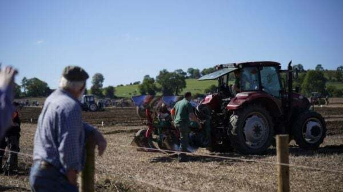 Politicians descend on Ploughing Championships as pressure builds ahead of election