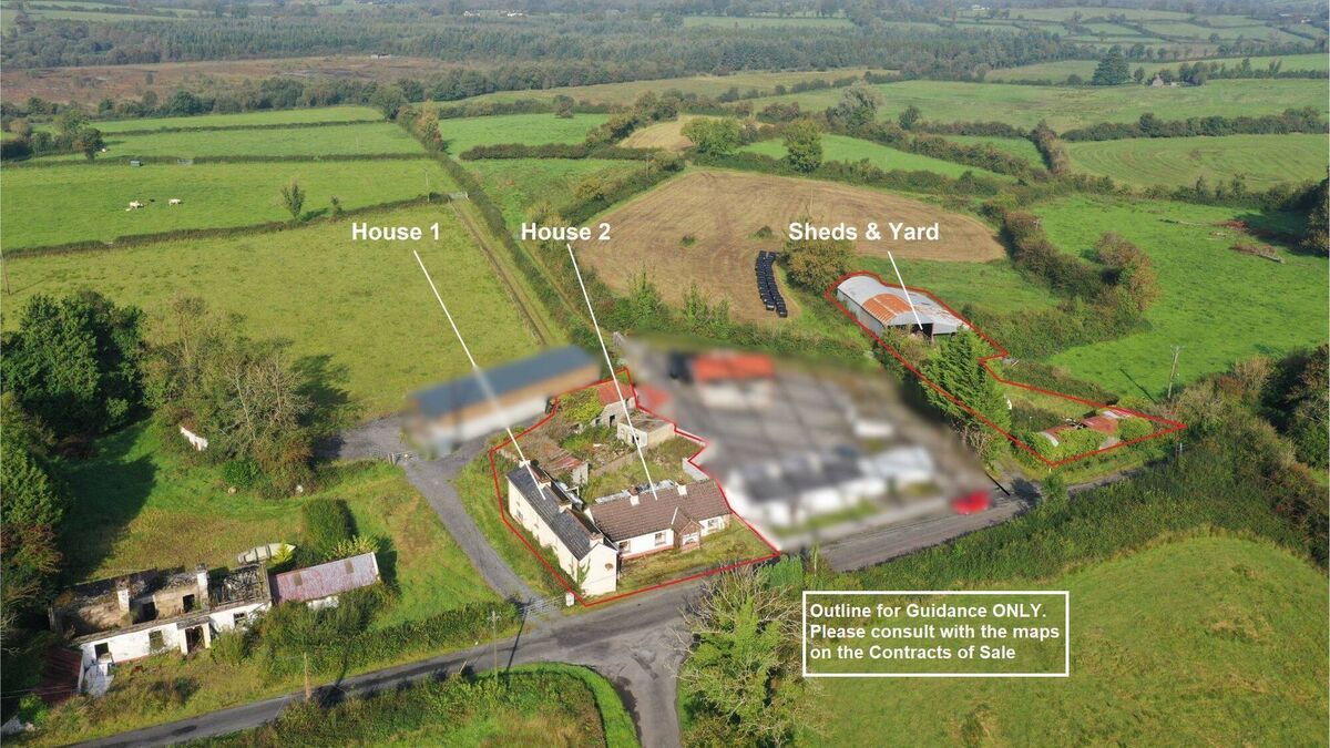Unique County Roscommon property set for online auction