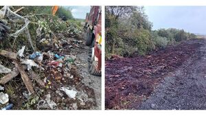 Illegal dumping at Roscommon bog days after major clean-up Illegal dumping at Roscommon bog days after major clean-up