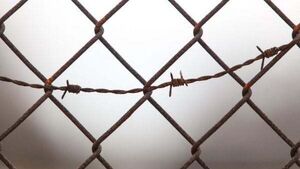 Joint Committee on Traveller issues to discuss Travellers in prison Joint Committee on Traveller issues to discuss Travellers in prison