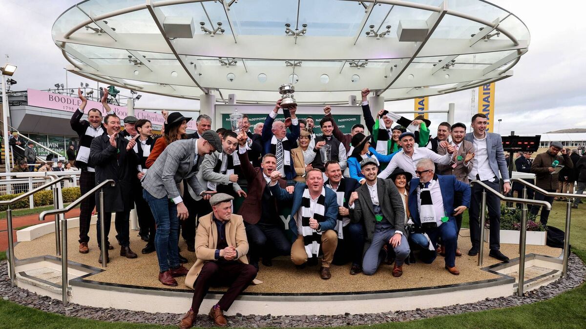 Horse with strong Roscommon connections powers to Kerry National success