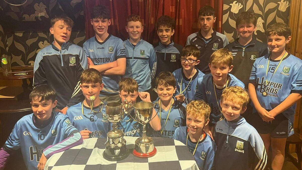 A County Roscommon underage team with seven sets of brothers!