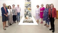 'Timelines: Growth and Catastrophe' exhibition unveiled in Roscommon Arts Centre