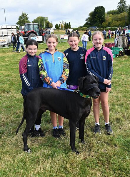 Aoife Fynes, Faye Kelly, Abby Kelly and Emily Cramer, Ballyforan, pictured at Ballyforan Fair last weekend. Pic. Gerard O’Loughlin Aoife Fynes, Faye Kelly, Abby Kelly and Emily Cramer, Ballyforan, pictured at Ballyforan Fair last weekend. Pic. Gerard O’Loughlin