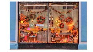 Spectacular window display in County Roscommon store causing a stir!