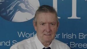 Funeral arrangements for victim of County Roscommon traffic accident