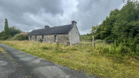 County Roscommon cottage sold at auction for €85,000