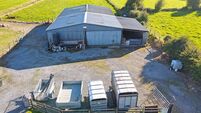Exceptional residential County Roscommon  farm hits the market 