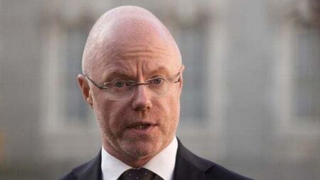 Statutory inquiry into death of Aoife Johnston not ruled out, says Donnelly