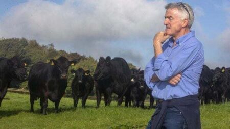 Michael O’Leary ‘astonished’ by green power of his farm’s solar panels