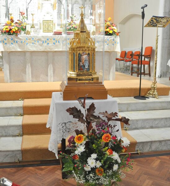 The relics of St. Bernadette at St. Nathy's Cathedral. Pic. Liam Reynolds The relics of St. Bernadette at St. Nathy's Cathedral. Pic. Liam Reynolds