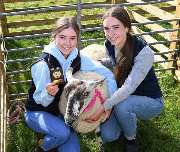 Alexa Moran, Brideswell, was the winner of the young handler award at Ballyforan Fair, pictured here with her friend Lily Pyke from Glasson. Pic. Gerard O’Loughlin Alexa Moran, Brideswell, was the winner of the young handler award at Ballyforan Fair, pictured here with her friend Lily Pyke from Glasson. Pic. Gerard O’Loughlin