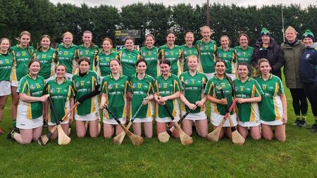 Novel pairing set for senior camogie final showdown