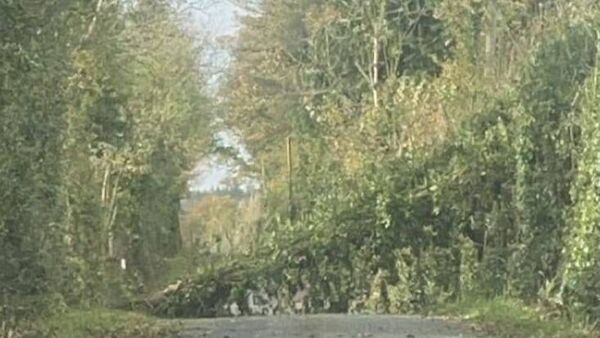 Motorists warned of fallen tree and debris on roads