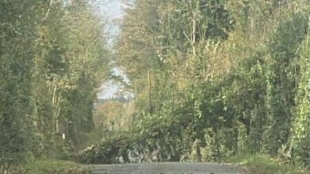 Motorists warned of fallen tree and debris on roads