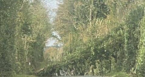 Motorists warned of fallen tree and debris on roads