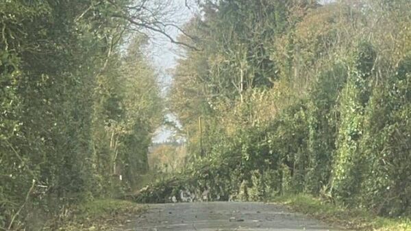 Storm Ashley Update: ESB and council crews working to keep the county moving