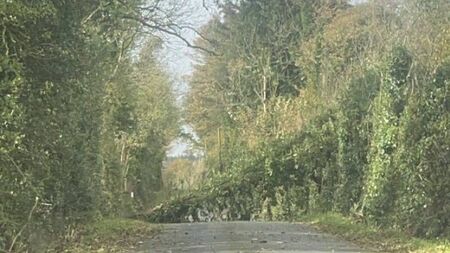 Storm Ashley Update: ESB and council crews working to keep the county moving