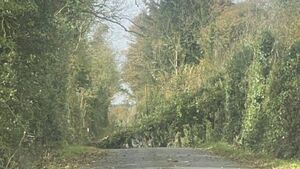 Storm Ashley Update: ESB and council crews working to keep the county moving