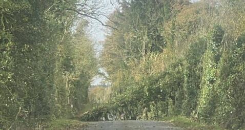 Storm Ashley Update: ESB and council crews working to keep the county moving