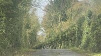 Storm Ashley Update: ESB and council crews working to keep the county moving