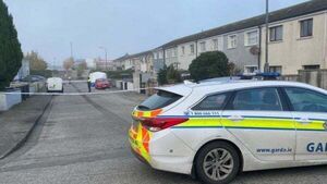 Man who died in Carlow assault named locally Man who died in Carlow assault named locally