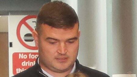 Brothers of Limerick hurler Kyle Hayes plead guilty to assault and weapon charges