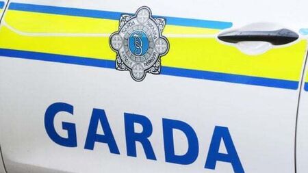 Two men arrested in Dublin after shotgun seized by gardaí