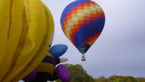 Irish Hot Air Ballooning Championships returning to County Roscommon skies