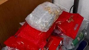Man (30s) arrested after gardaí seize cannabis worth €120,000 in Co Galway