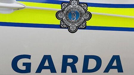 Man (30s) dies after being struck by a car in Co Clare