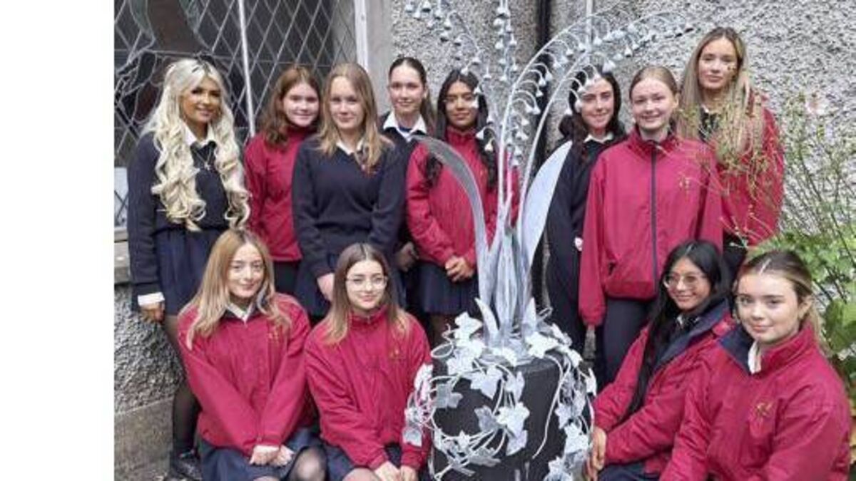 ‘Forged Friendship’ sculpture installed at County Roscommon school
