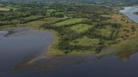 Eighty acre County Roscommon farm set for online auction