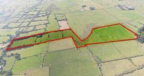 ‘Quality’ County Roscommon lands on the market 