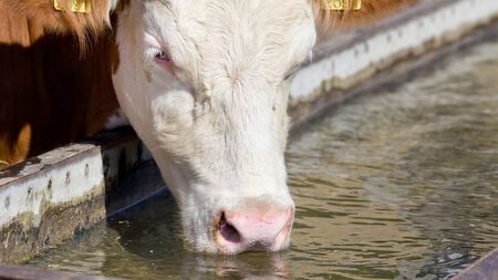 New study reveals Roscommon among top counties to start a farm