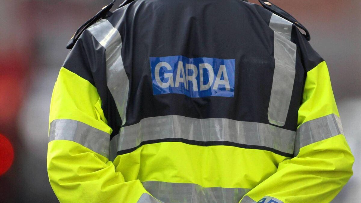 Van damaged during incident in County Roscommon