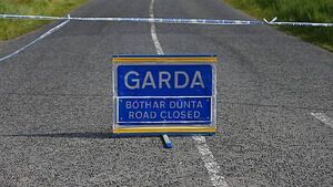 Man (20s) dies after single-vehicle collision in Kerry