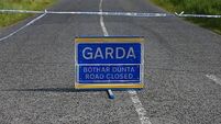 Man (20s) dies after single-vehicle collision in Kerry