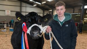 Hot price obtained for heifer at Carrick Winter Fair