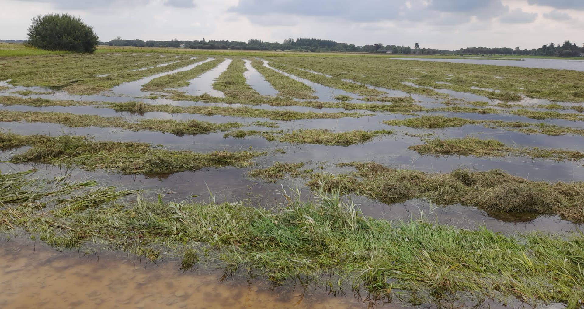 Caution advised as heavy rain causes flooding