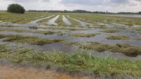 Caution advised as heavy rain causes flooding