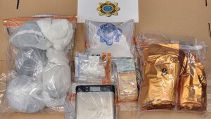 Gardaí seize suspected pipe bombs and drugs Gardaí seize suspected pipe bombs and drugs