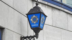 Gardaí investigating alleged assaults in the county